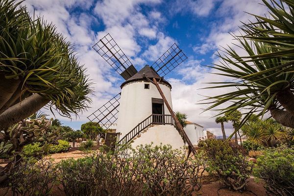 Canary Islands-Fuerteventura Island-Antigua-traditional island windmill